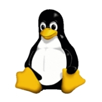 Setting up SDL on Linux